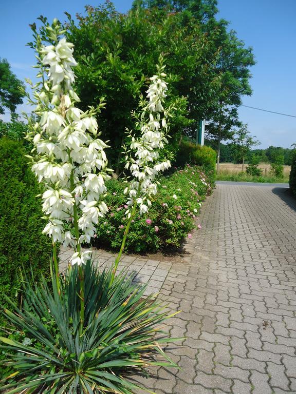 Das Fritz Hotel Schwerin Schoene Lage Im Gruenen Mit Regionaler Kueche Kostenfreien Parkplaetzen Und E Ladestation Εξωτερικό φωτογραφία